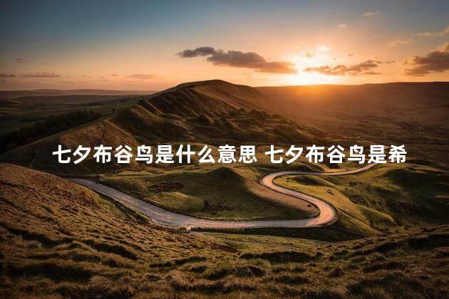 七夕布谷鸟是什么意思 七夕布谷鸟是希望对方脱单吗